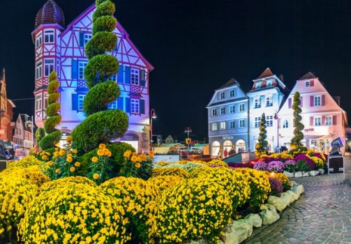 Chrysanthemum Festival in Lahr at night time, Germany