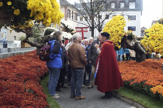 Show round by a Guide at Chrysanthemum Festival in Lahr, Germany