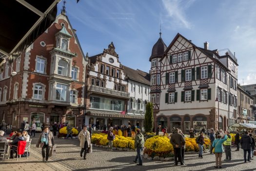 Chrysanthemum Festival in Lahr, Germany - Town Centre-Sunspot (NCN)