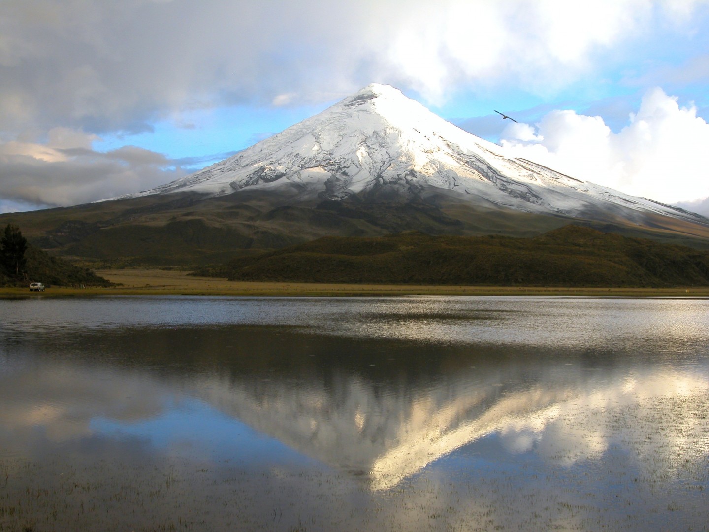 Cotopaxi Languna de Limpiopungo al fondo volcan Cotopaxi, Equador