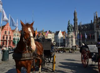 Bruges mini cruise Bruges Christmas Market Horse drawn carriage in Bruges main square