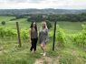Denbies Wine Estate - Surrey Fam Trip - In the vineyards