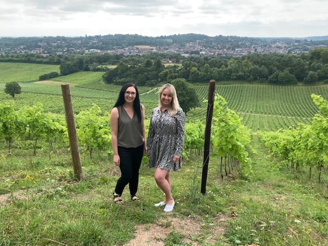 Denbies Wine Estate - Surrey Fam Trip - In the vineyards