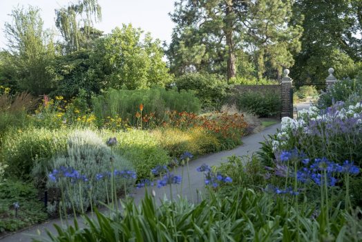Cambridge Cottage Garden © RBG Kew Gardens