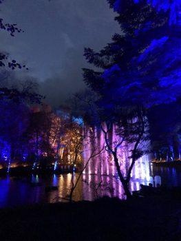 Enchanted Forest, Pitlochry, Scotland NCN