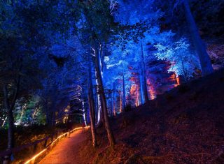 Pitlochry tour, Enchanted Forest © Graham Smith, group tour to Pitlochry