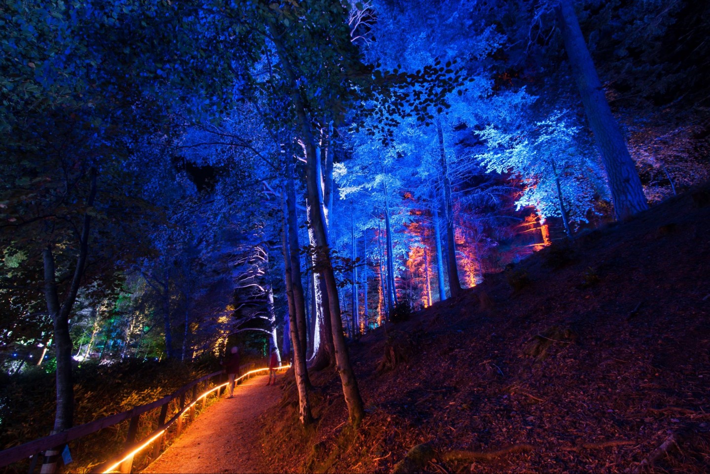 Pitlochry tour, Enchanted Forest © Graham Smith, group tour to Pitlochry