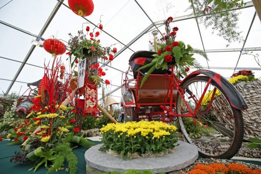 Flower Show Day, Southport Flower Show