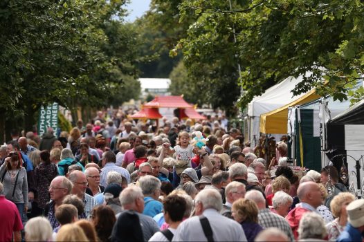 Flower Show Day 2 065 - Southport flower show (NCN)