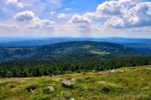 Germany - Harz - Brocken © PT Wilding