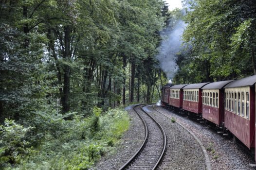 Germany - Harz - Harzer Schmalspurbahnen © PT Wilding