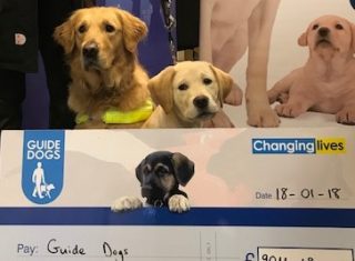 Guide Dogs for the Blind - Puppies