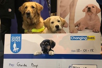 Guide Dogs for the Blind - Puppies