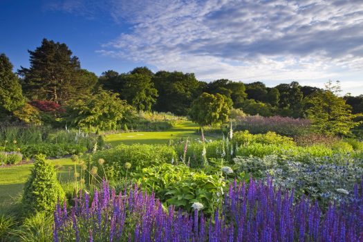 York & Harrogate Harrogate, RHS Harlow Carr, Main Borders in Summer