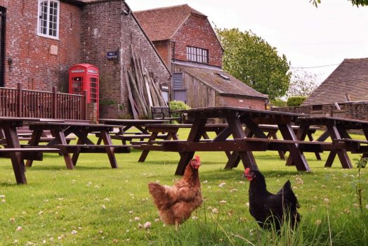 Sussex Heaven Farm