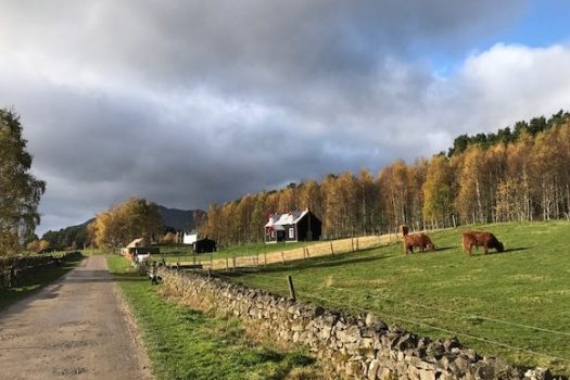 Highland Folk Museum, Scotland (KWY-NCN)