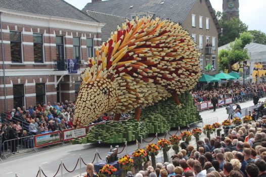 Dutch Dahlias on Parade, Zundert, Holland