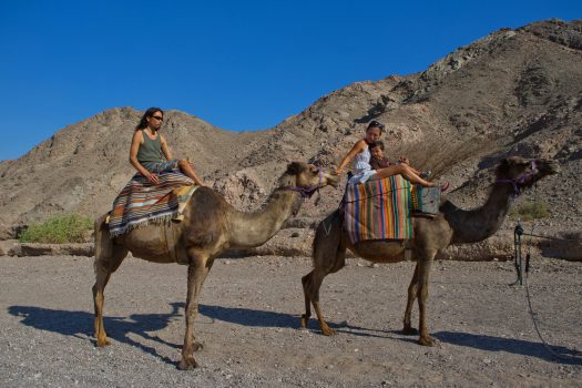 Israel - Eilat and Negev Region © Photographer Dafna Tal, Israeli Ministry of Tourism - info.goisrael.com