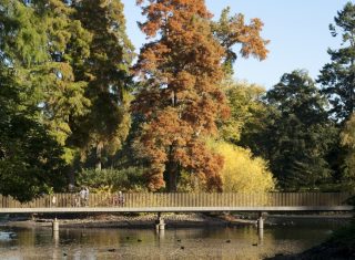 Kew Gardens, London - Lake and Sackler Crossing in Autumn © citycruises.com