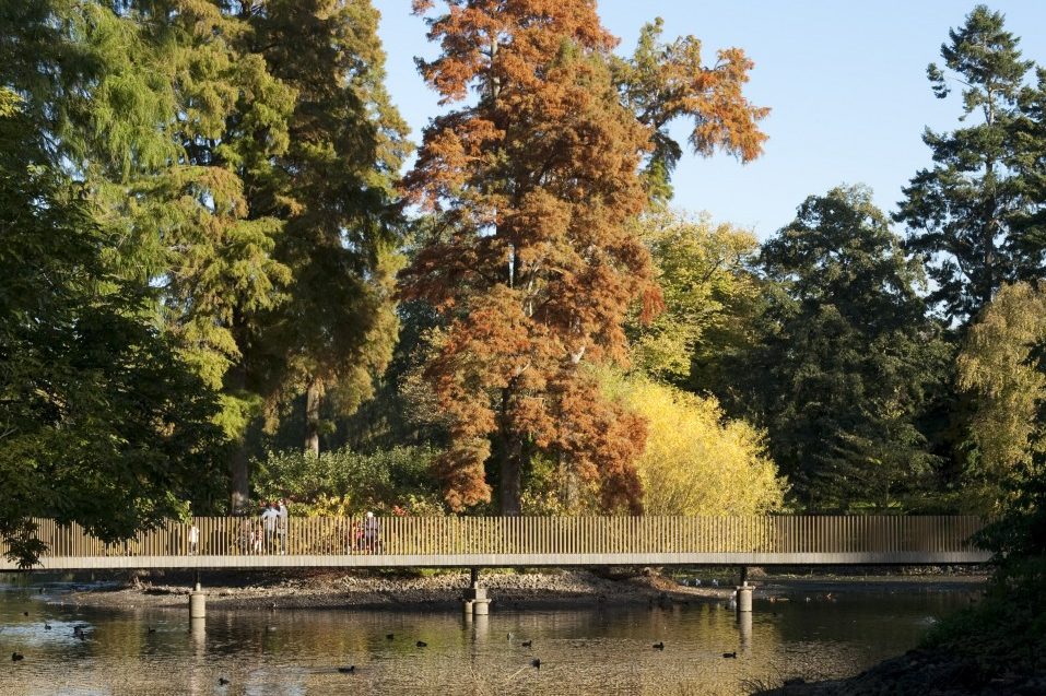 Kew Gardens, London - Lake and Sackler Crossing in Autumn © citycruises.com
