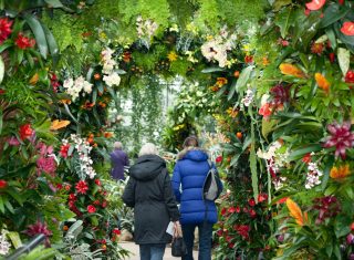 Kew Gardens, London - Orchid festival display in Winter ©citycruises.com