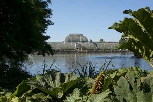 Kew Gardens, London - Palm House©citycruises.com