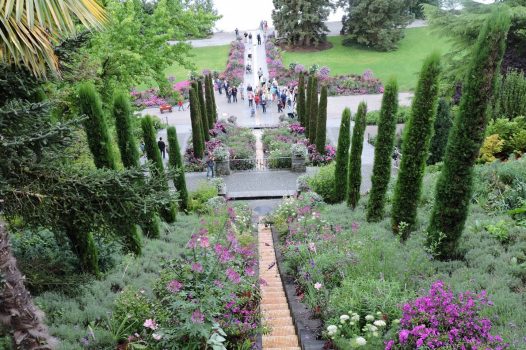 lakes Mainau Island, Lake Constance