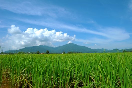 Malaysia - Langkawi - Gunung Raya