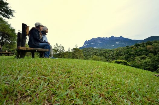 Malaysia, Sabah, Borneo - Kinabalu Park