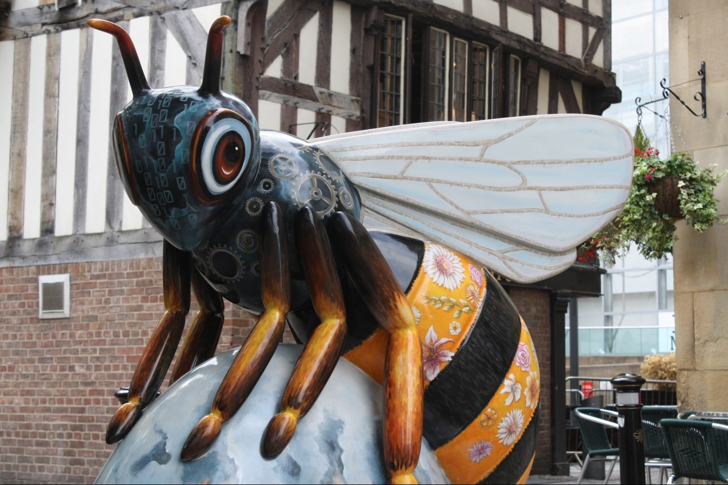 Manchester Sightseeing - Bee in the City (10-DBE-NCN)