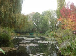 Angers Monet's Garden, Normandy