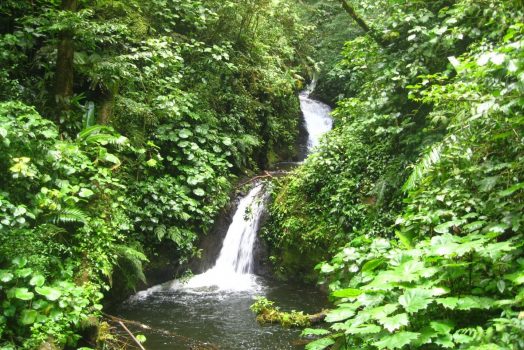 Monteverde Reserve, Costa Rica NCN