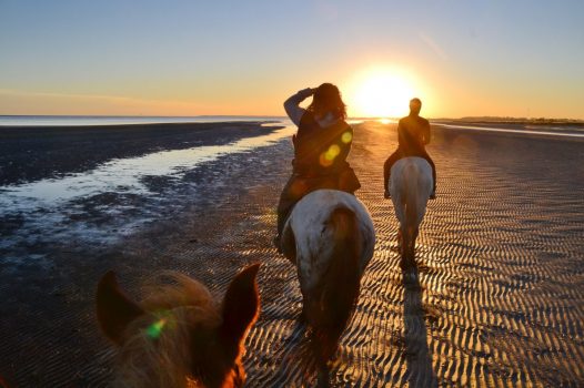 Horseback Riding, Uruguay, South America (NCN)