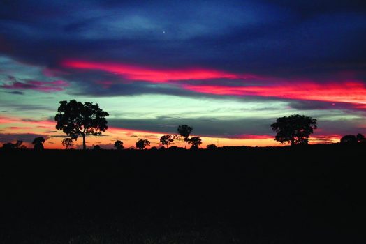Pantanal Sunset, Brazil NCN