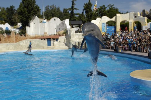 Parc Asterix, France - Theme Park - Dolphins © Asterix® - Obelix® - © 2017 Les Éditions Albert René-Goscinny-Uderzo