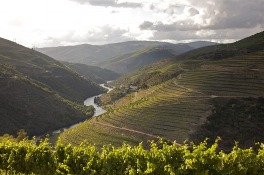 Douro Valley, Portugal