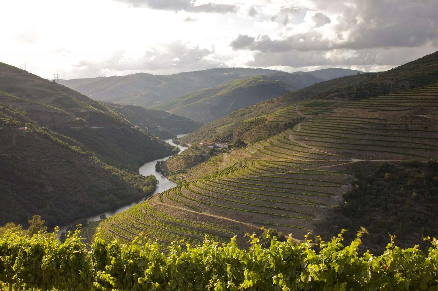 Douro Valley, Portugal