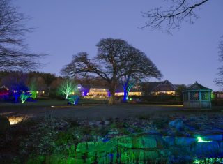 RHS Garden Harlow Carr, Harrogate, North Yorkshire - Glow Illuminations © RHS, sirastudio