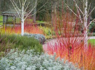 RHS Garden Harlow Carr