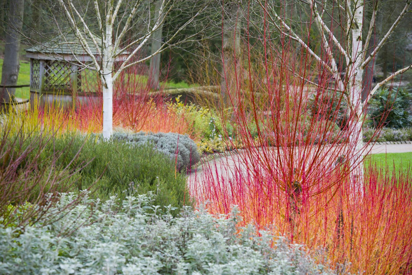 RHS Garden Harlow Carr