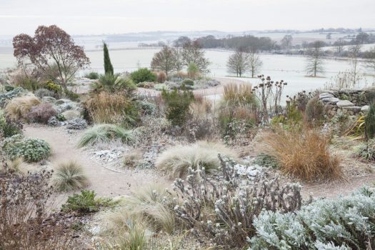 RHS Garden Hyde Hall, Chelmsford, Essex - The Dry Gardenin winter © RHS, Lee Beel