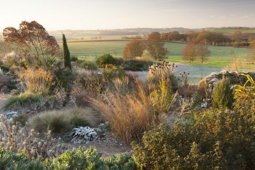 RHS Garden Hyde Hall, Chelmsford, Essex - The Dry Gardenin winter © RHS, Lee Beel