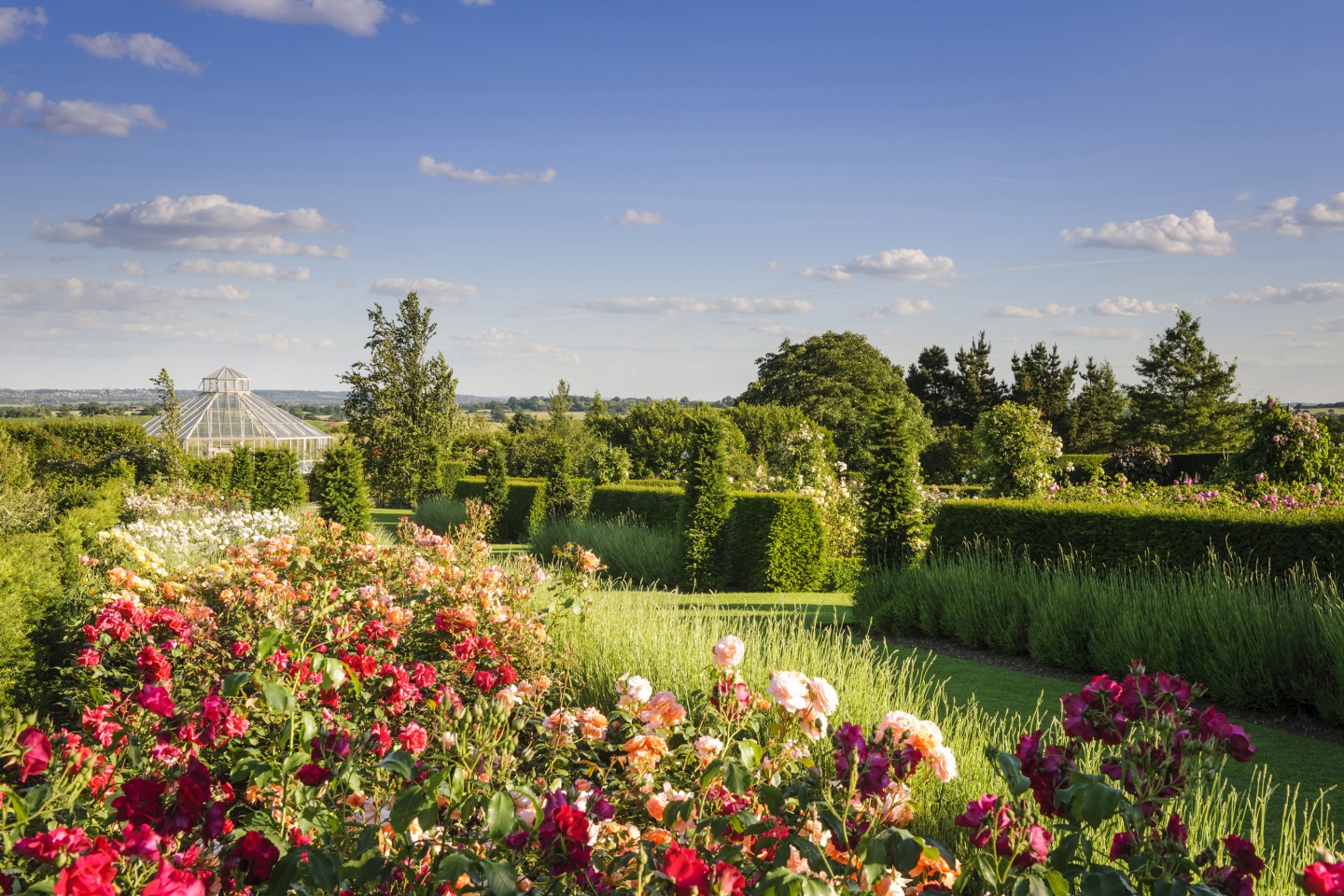 RHS Garden Hyde Hall, Chelmsford, Essex - The Rose Garden and Glasshouse in the Global Growth Vegetable Garden © RHS, Jason Ingram