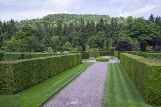 RHS Garden Rosemoor Flower Show