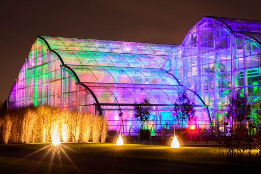 RHS Gardens at night