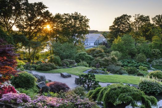 RHS Wisley ©RHS