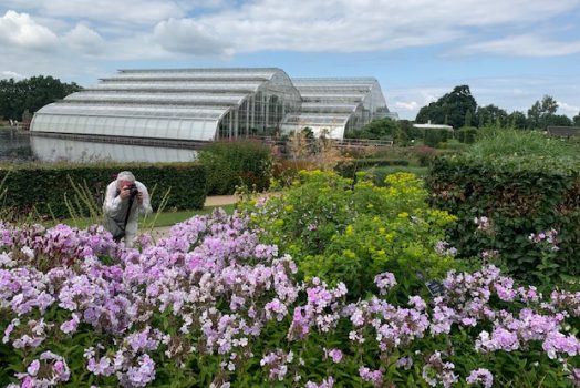 RHS Wisley - Surrey Fam Trip - In the gardens