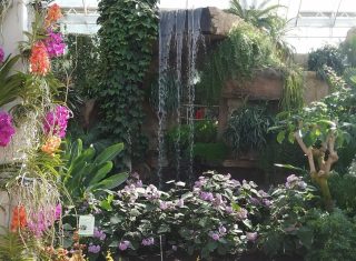 The Glasshouse at RHS Wisley