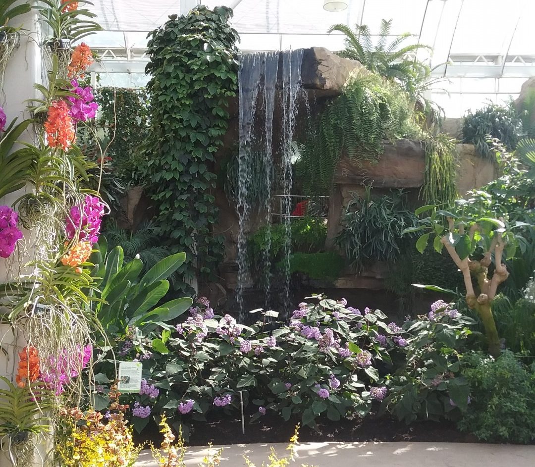 The Glasshouse at RHS Wisley