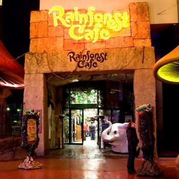 Rainforest Cafe ©Disney